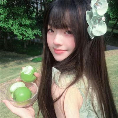 小鸟之翼第二季